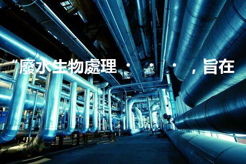 “廢水生物處理，旨在凈化水源，守護(hù)碧水藍(lán)天”